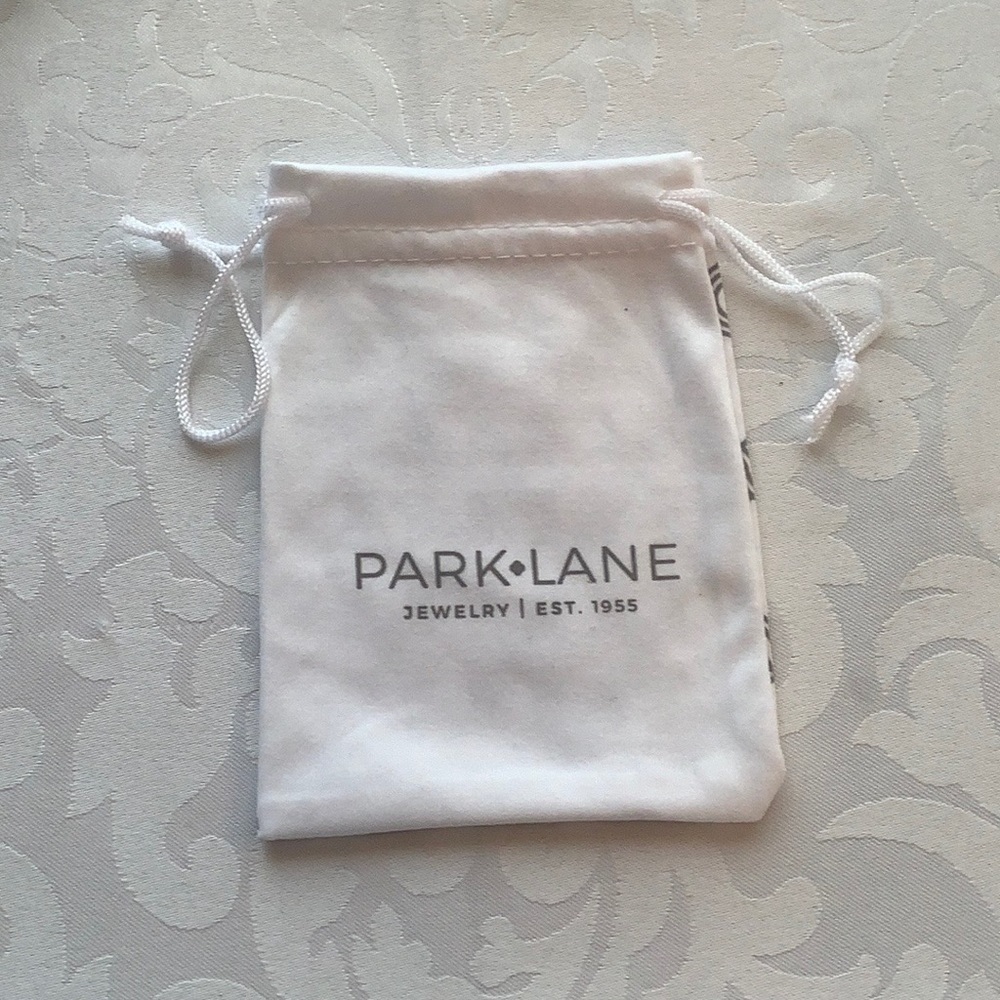 Park Lane To The Point Earrings - Picture 10 of 11